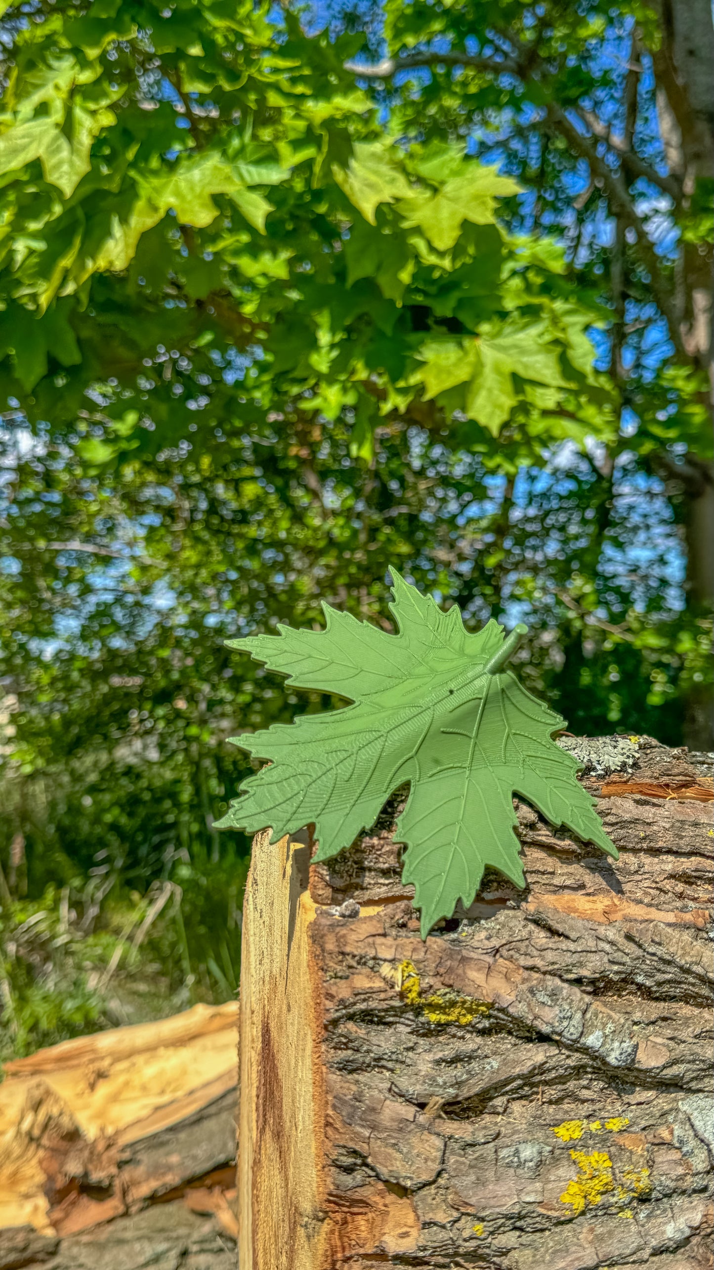 Nosework kit, Löv it or not