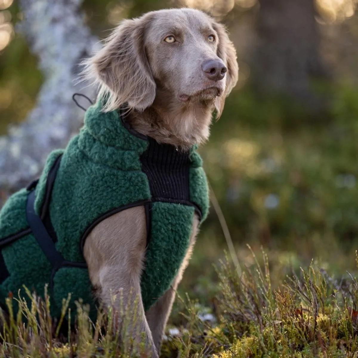Canelana hundtäcke, 100% merinoull