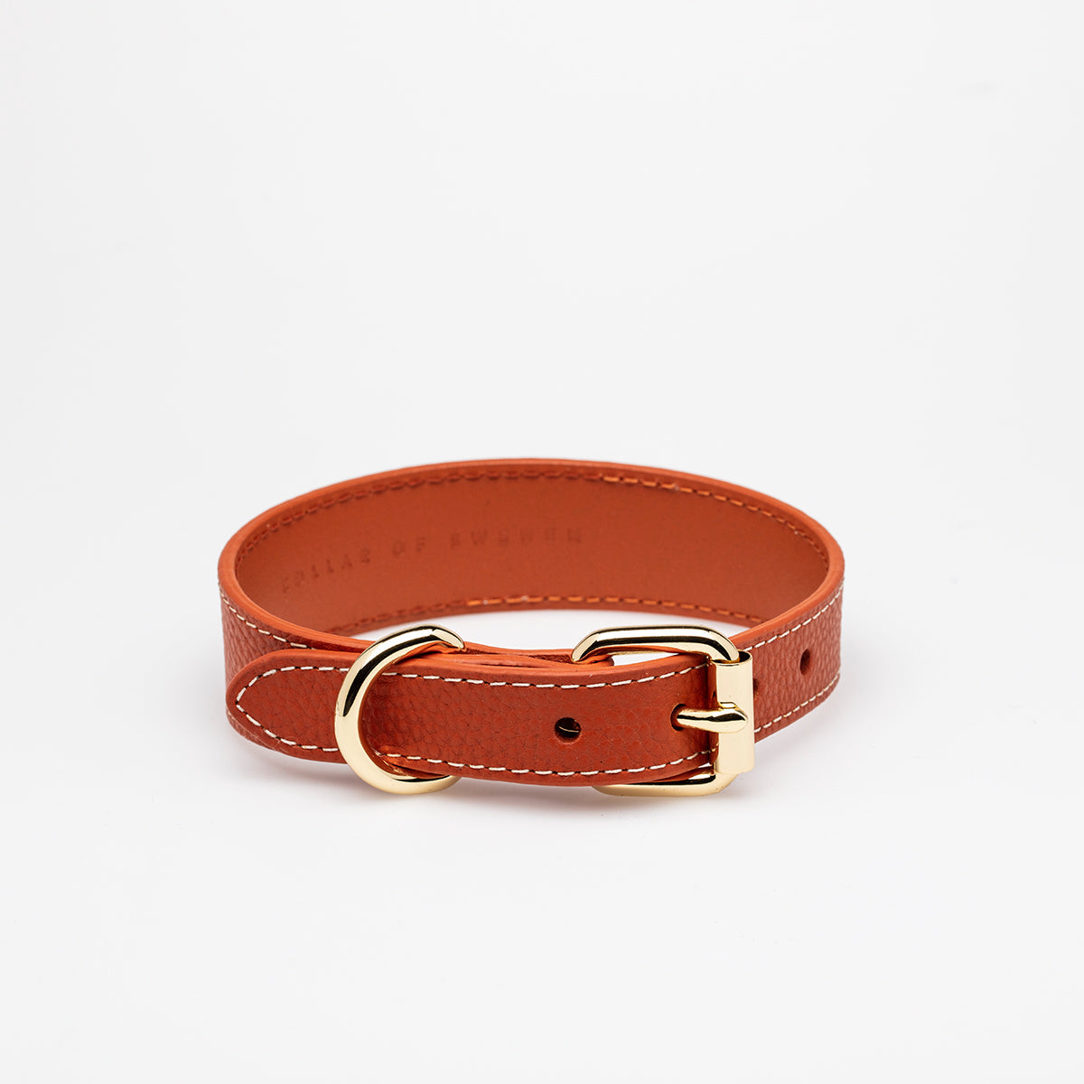 Cognac Hundhalsband, läder