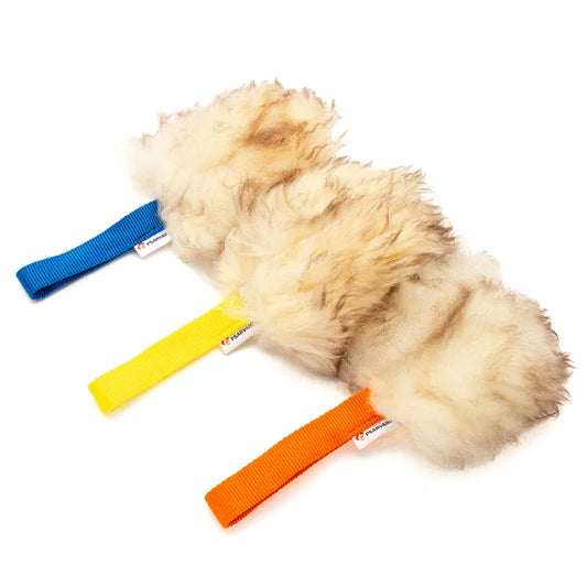 Fickkampis i fårskinn