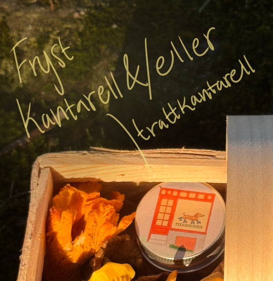 Fryst kantarell, gul eller trattkantarell