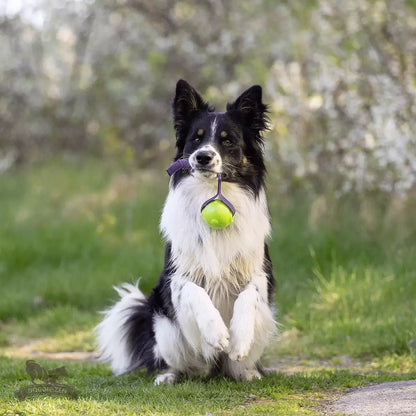 Pipboll med handtag