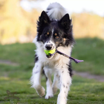 Pipboll med handtag