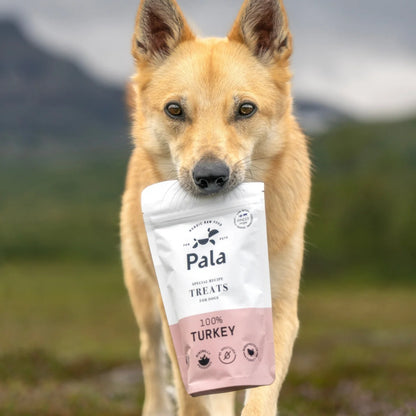 Pala 100% Kalkon hundgodis