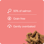 RAUH Salmon Treat