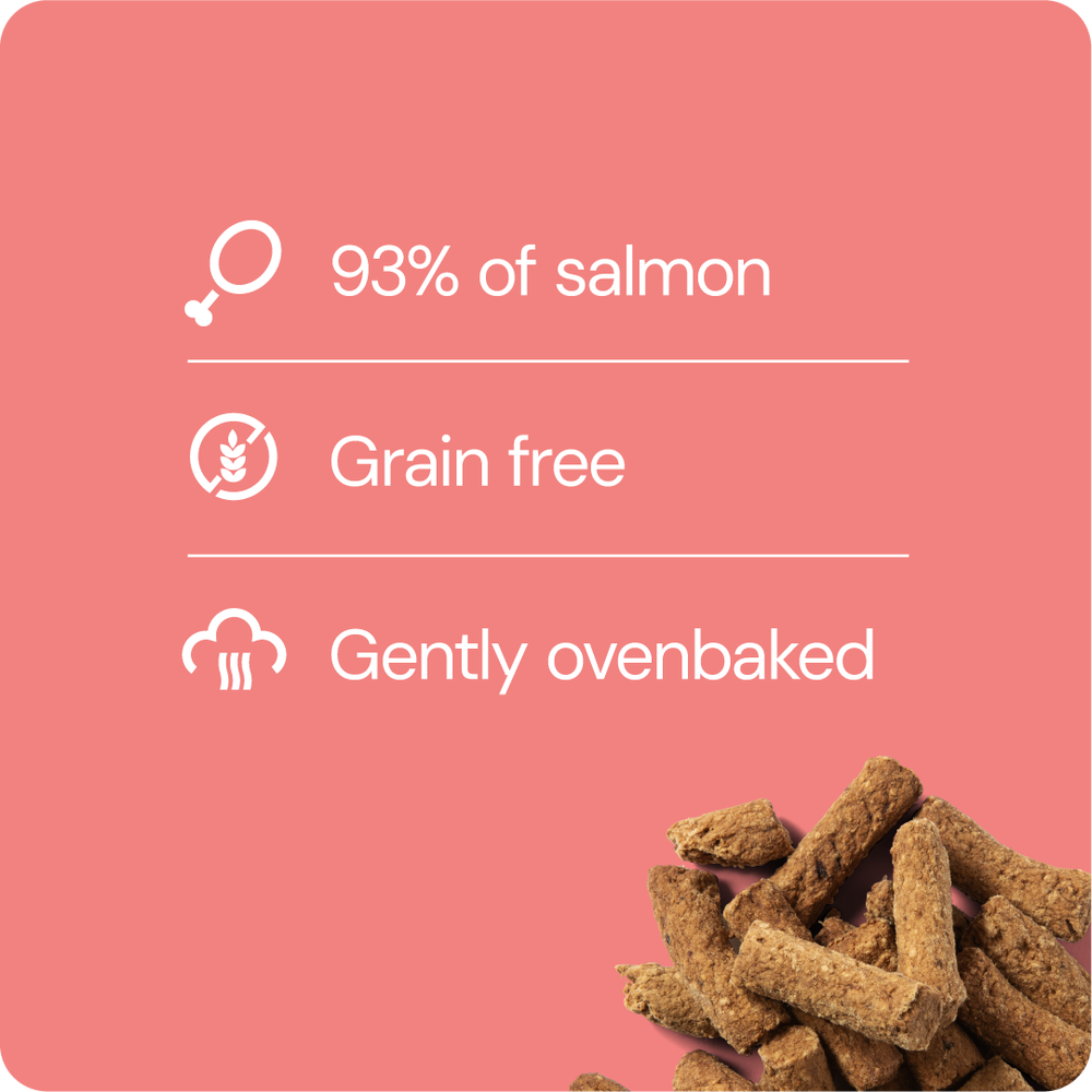RAUH Salmon Treat