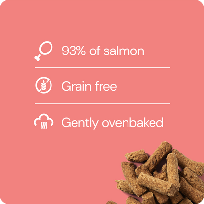 RAUH Salmon Treat