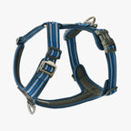 Dog Copenhagen Comfort Walk Air™ sele