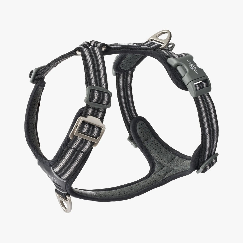 Dog Copenhagen Comfort Walk Air™ sele