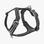 Dog Copenhagen Comfort Walk Air™ sele
