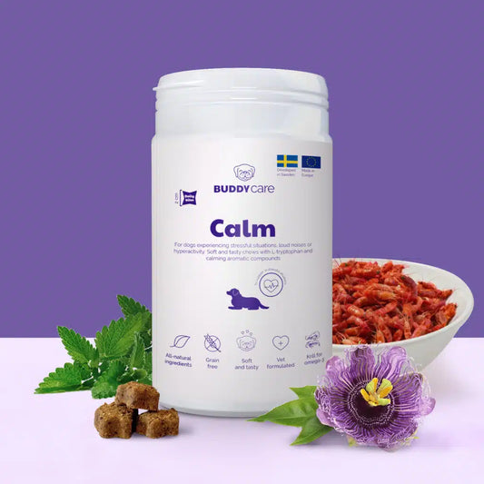 BuddyCare – Calming Chews
