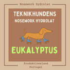 Ekologiskt Nosework-hydrolat Eukalyptus – 10 ml