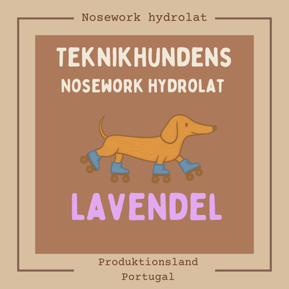 Ekologiskt Nosework-hydrolat Lavendel – 10 ml