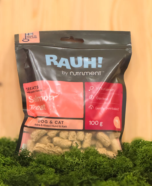 RAUH Salmon Treat