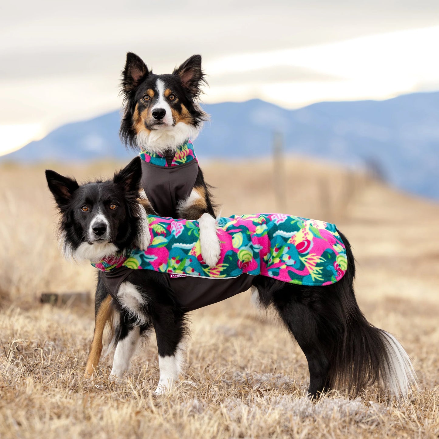 FLEECETÄCKE, JUMPPAPOMPPA TRAIL