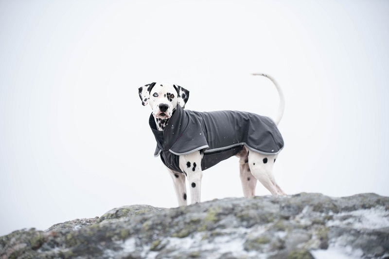 Softshell hundtäcke, SporttiPomppa Graphite