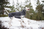 Softshell hundtäcke, SporttiPomppa Graphite