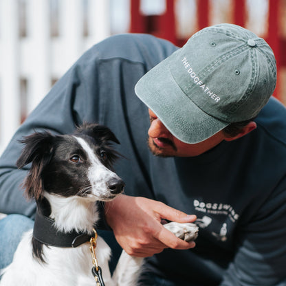 Grön Jeanskeps - The Dogfather