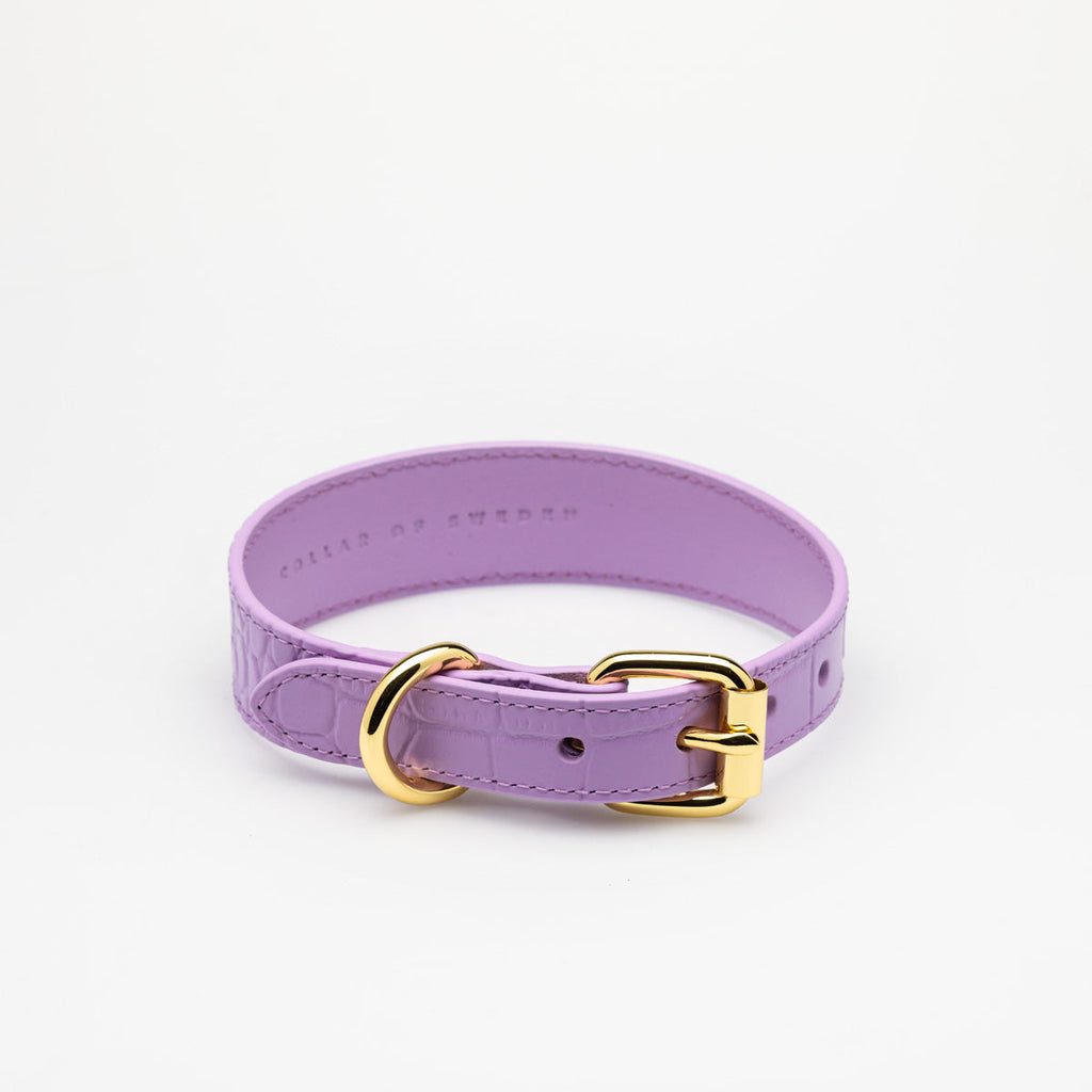 Violett Croco Hundhalsband, läder