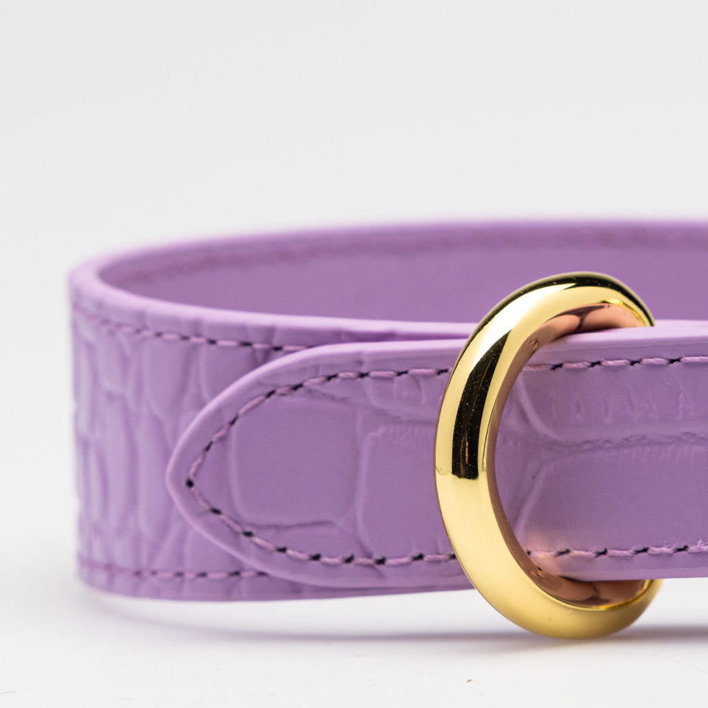 Violett Croco Hundhalsband, läder