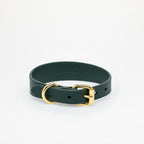 Mörkgrönt Hundhalsband Läder