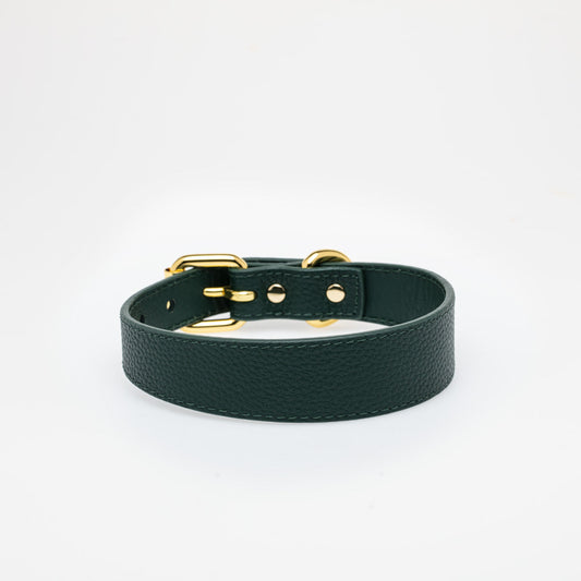 Mörkgrönt Hundhalsband Läder