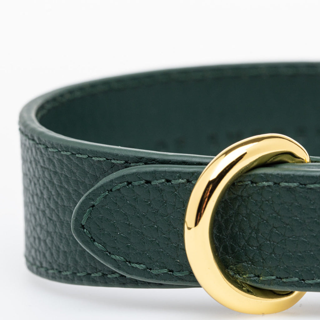 Mörkgrönt Hundhalsband Läder
