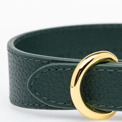 Mörkgrönt Hundhalsband Läder