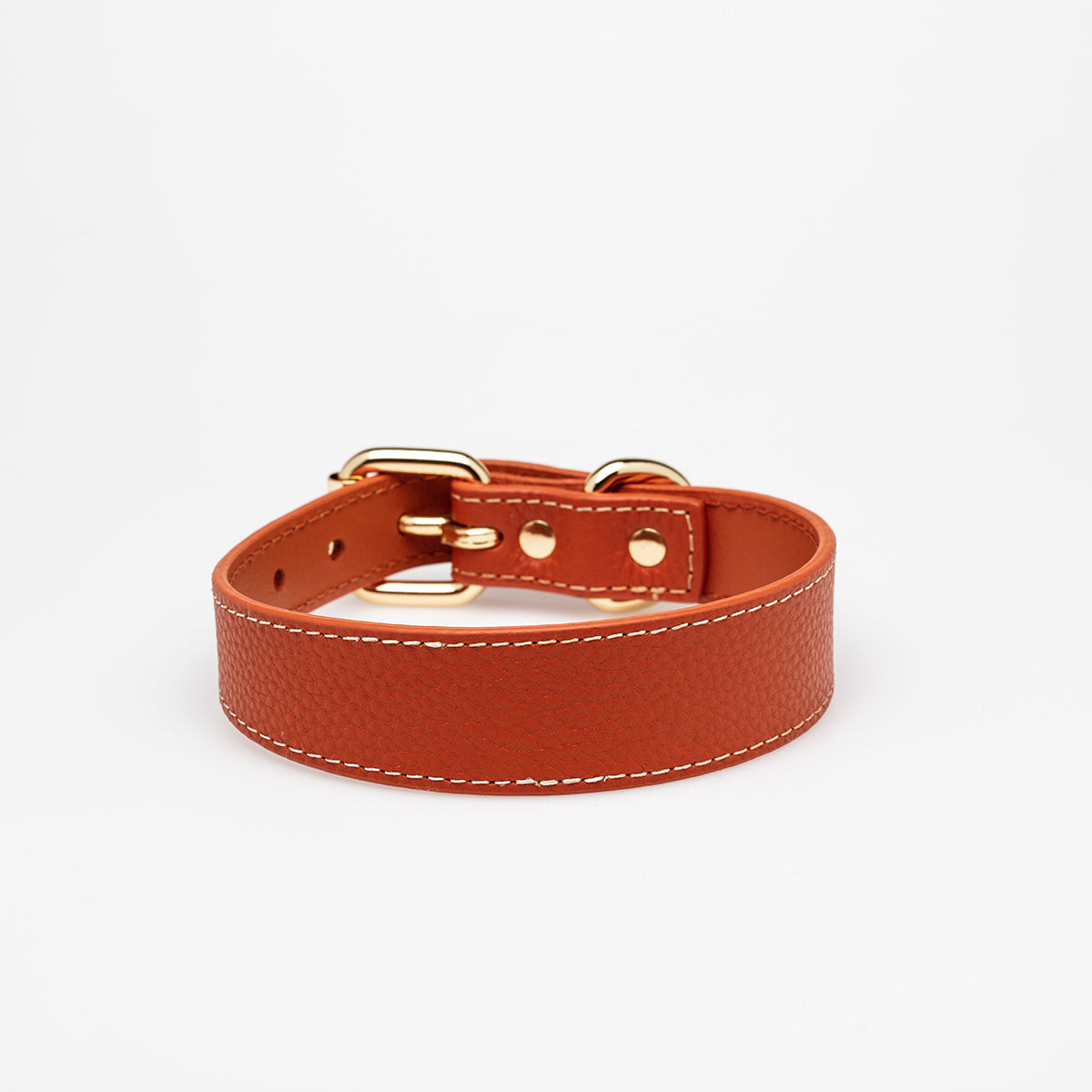Cognac Hundhalsband, läder