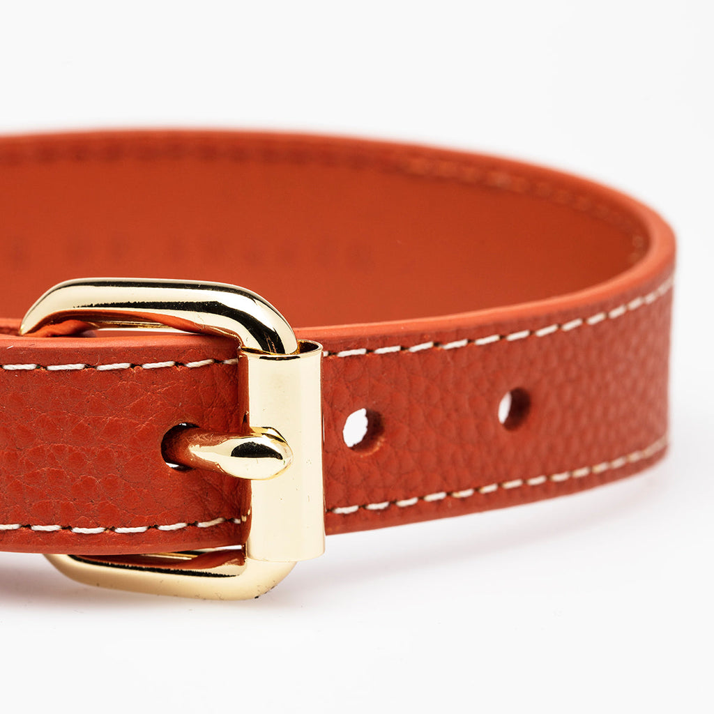 Cognac Hundhalsband, läder