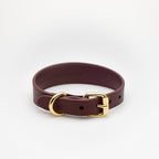 Vinrött Hundhalsband, non-leather