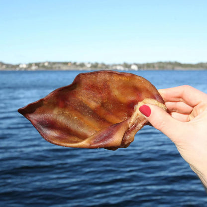 Svenskt grisöra 1st